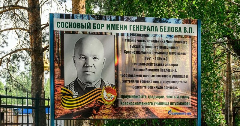 Файл:Сосновый бор им. генерала В.П. Белова в Челябинске, фото.jpg